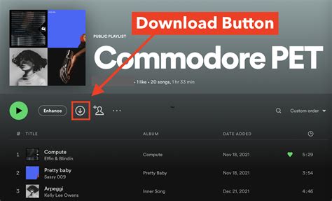 how to download music from spotify to computer and the impact of digital music on privacy