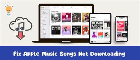 Why Won't My Apple Music Download Work? An Insight into the Matter